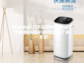 企业新闻除湿机的工作原理有哪些呢？具体的和哈尔滨除湿机了解一下吧！