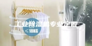 工业除湿机专业定做