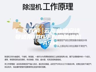 行业新闻厂家直销 云南曲靖安诗曼适用100平方用除湿机 ASM