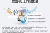 厂家直销 云南曲靖安诗曼适用100平方用除湿机 ASM