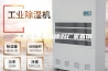 工业除湿机品质好厂家直销