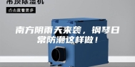 南方阴雨天来袭，钢琴日常防潮这样做！