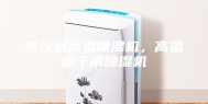武汉耐高温除湿机，高温烘干房除湿机