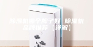 除湿机哪个牌子好 除湿机品牌推荐【详解】