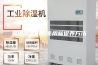 家用除湿机的使用和保养方法