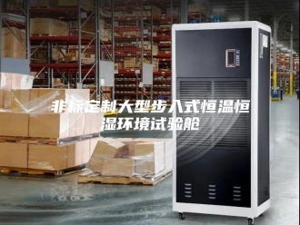 常见问题非标定制大型步入式恒温恒湿环境试验舱