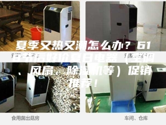 行业新闻夏季又热又潮怎么办？618节后好价夏日电器（空调、风扇、除湿机等）促销推荐！