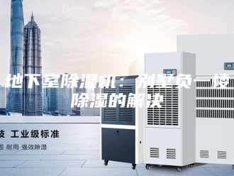 行业新闻地下室除湿机：别墅负一楼除湿的解决