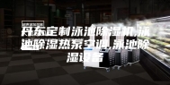 丹东定制泳池除湿机,泳池除湿热泵空调,泳池除湿设备
