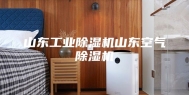 山东工业除湿机山东空气除湿机