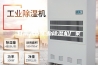 甘南大连工业除湿机厂家