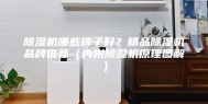 除湿机哪些牌子好？精品除湿机品牌推荐（内附除湿机原理图解）