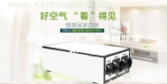除湿机生产厂商 车间除湿机公司