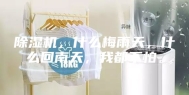 除湿机，什么梅雨天，什么回南天，我都不怕。