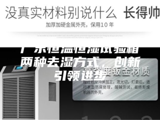 常见问题广东恒温恒湿试验箱两种去湿方式，创新引领进步