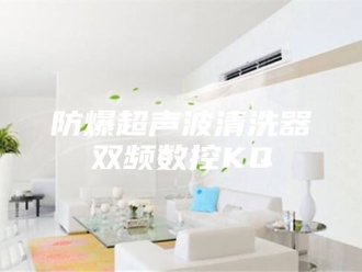 知识百科防爆超声波清洗器双频数控KQ