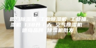 厦门除湿机 工业除湿机 工业抽湿机 138升／天 空气除湿机 德岛品牌 除湿机批发