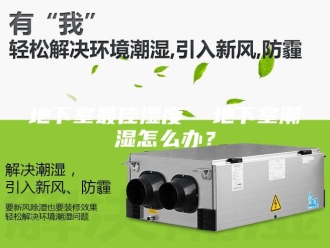 知识百科地下室最佳湿度  地下室潮湿怎么办？