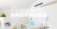 烤鸭房专用除湿机