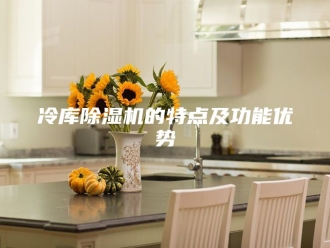 常见问题冷库除湿机的特点及功能优势