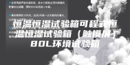 恒温恒湿试验箱可程式恒温恒湿试验箱（触摸屏）80L环境试验箱