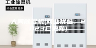 大同除湿机(商业优选：2023已更新)