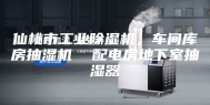 仙桃市工业除湿机，车间库房抽湿机  配电房地下室抽湿器