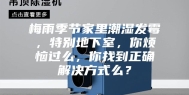 梅雨季节家里潮湿发霉，特别地下室，你烦恼过么，你找到正确解决方式么？