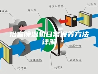 行业新闻浴室除湿机日常保养方法详解