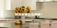 除湿机要怎么清理？
