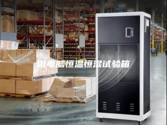 常见问题微电脑恒温恒湿试验箱