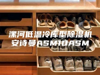 企业新闻漯河低温冷库型除湿机安诗曼ASM10ASM