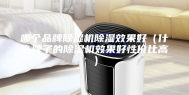 哪个品牌除湿机除湿效果好（什么牌子的除湿机效果好性价比高）