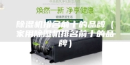 除湿机排名前十的品牌（家用除湿机排名前十的品牌）