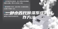 一种小苏打除湿系统的制作方法