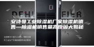安诗曼工业除湿机厂家除湿机销售—除湿机销售量高原因大揭秘