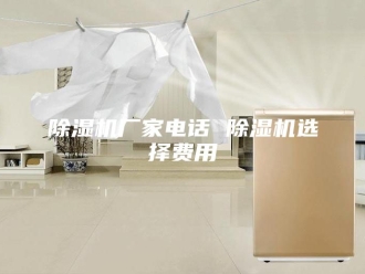 企业新闻除湿机厂家电话 除湿机选择费用