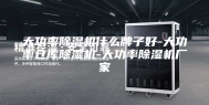 大功率除湿机什么牌子好-大功率仓库除湿机-大功率除湿机厂家