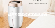 拉萨升温型柜式工业除湿机