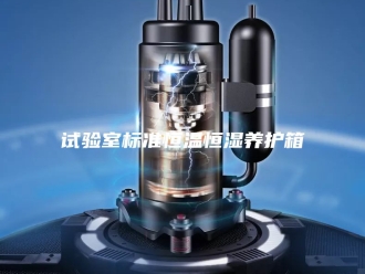 常见问题试验室标准恒温恒湿养护箱