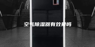 空气除湿器有效果吗