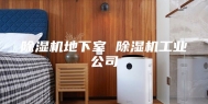 除湿机地下室 除湿机工业公司