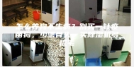 怎么养狗不生病？别买一针疫苗狗，少喂骨头，买除湿机多梳毛