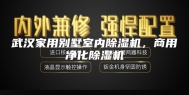 武汉家用别墅室内除湿机，商用净化除湿机