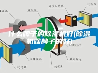 常见问题什么牌子的除湿机好(除湿机啥牌子的好)