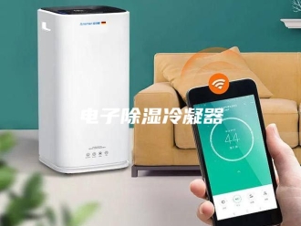知识百科电子除湿冷凝器