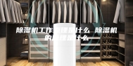 除湿机工作原理是什么 除湿机的原理是什么