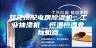 怒江州配电房除湿机，工业抽湿机  恒温恒湿非标机器