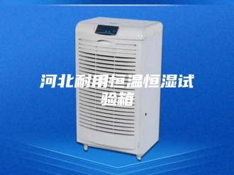 常见问题河北耐用恒温恒湿试验箱