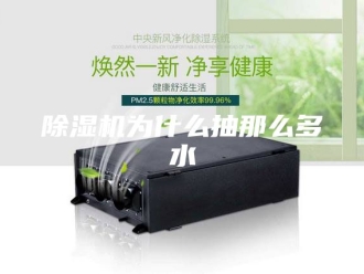企业新闻除湿机为什么抽那么多水